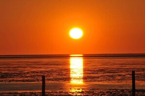 Un coucher de soleil sur une étendue d’eau, avec une clôture au premier plan.