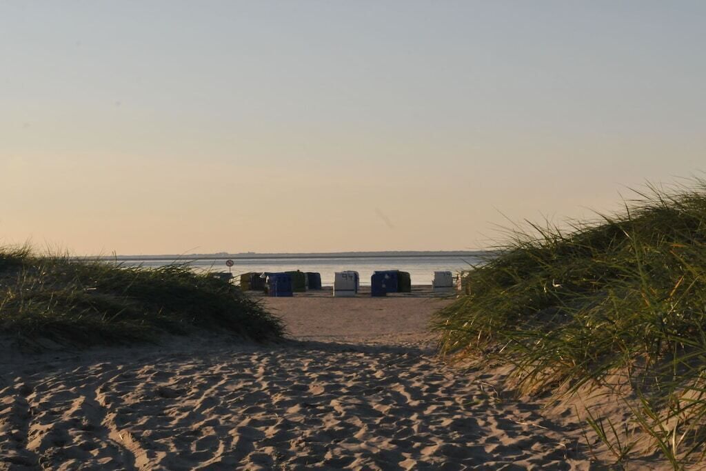 A sandy beach with a row of portable toilets and a clear view of the water in the distance.