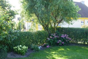 Un jardin où l’on trouve une grande variété de plantes, avec un arbre au premier plan.