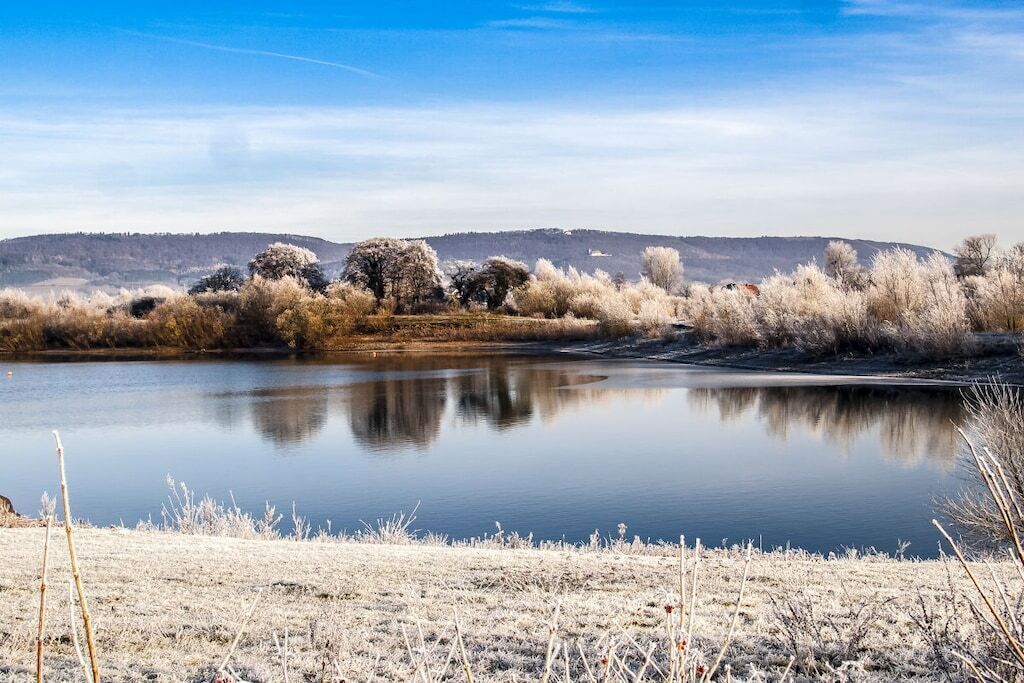 A calm body of water reflecting trees and a clear sky.