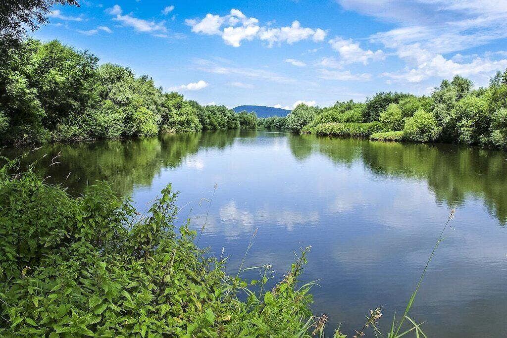 A calm river surrounded by dense greenery and a clear sky.
