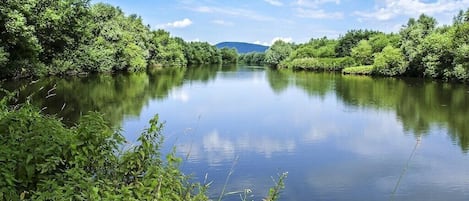 A calm river surrounded by dense greenery and a clear sky.