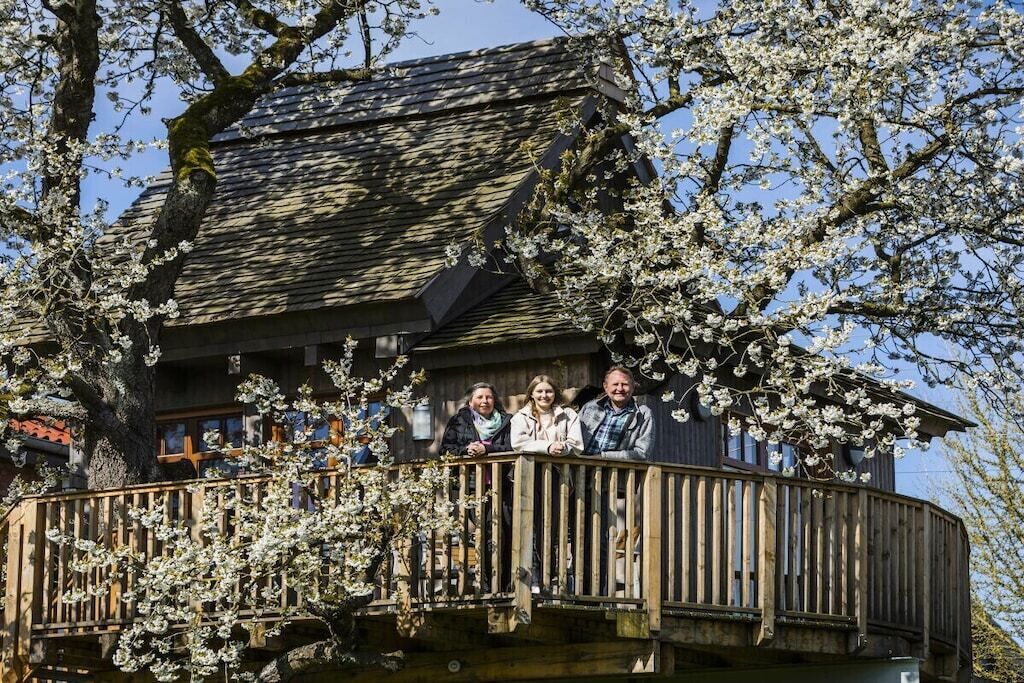 A wooden building with a balcony, surrounded by blooming trees.