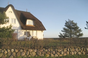 A house with a thatched roof, a stone wall in front, and a pine tree to the right. - "Dream view" in the Sölring-Hüs (Sylt\/OT Rantum)