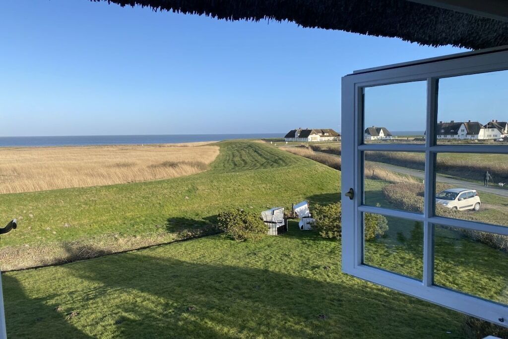 A view from a window overlooking a grassy field with a few houses in the distance.