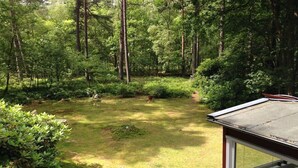 Un jardin à l’arrière de la maison, arboré, avec une zone herbeuse et une structure en bois dotée d’une fenêtre.