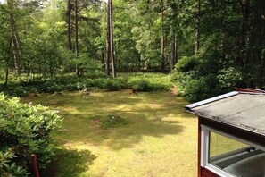 Ein bewaldeter Garten mit Rasenfläche und einer Holzhütte mit Fenster.