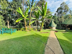 Un jardín bien cuidado con un sendero, una estructura de juegos y un pequeño edificio con techo verde.