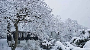 Een woonwijk met besneeuwde bomen en huizen.