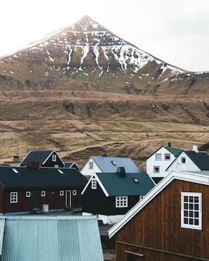 Een berg met een besneeuwde top op de achtergrond, omringd door huizen met groene daken.