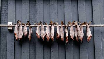 A row of dried fish hanging on a wooden rack against a dark wooden wall.
