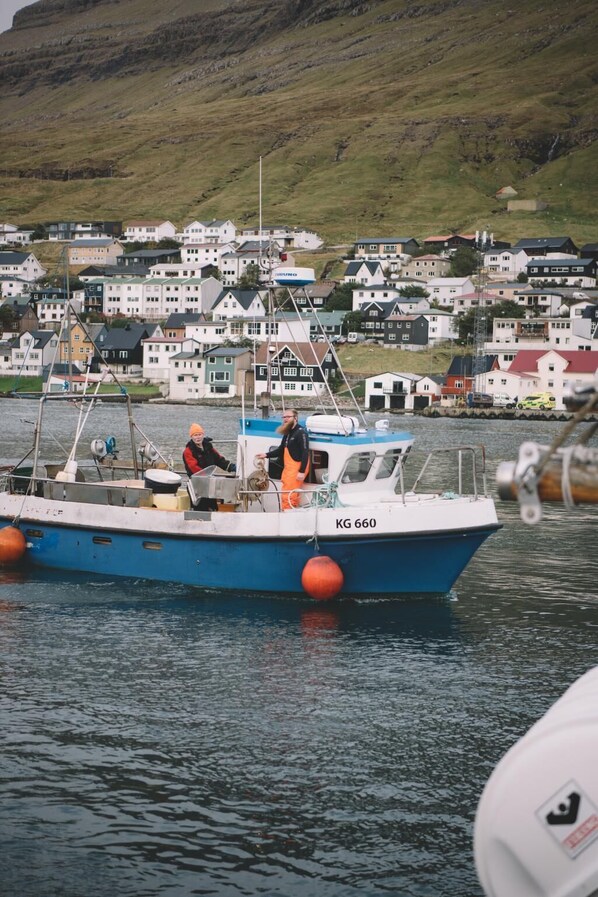 A boat with the identifier KG 660 docked near a coastal village with houses in the background.