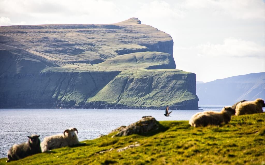 A coastal landscape with cliffs and a body of water.