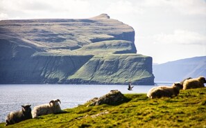 A coastal landscape with cliffs and a body of water.