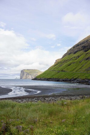 A coastal landscape with a grassy hillside, a rocky beach, and a cliff in the distance.