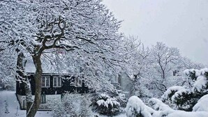 Ein Wohngebiet mit schneebedeckten Bäumen und Häusern.