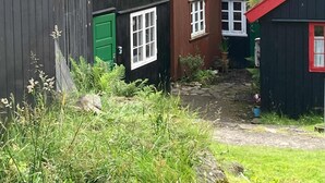 En smal gränd med traditionella hus, ett med ett rött tak och ett annat med en grön dörr.