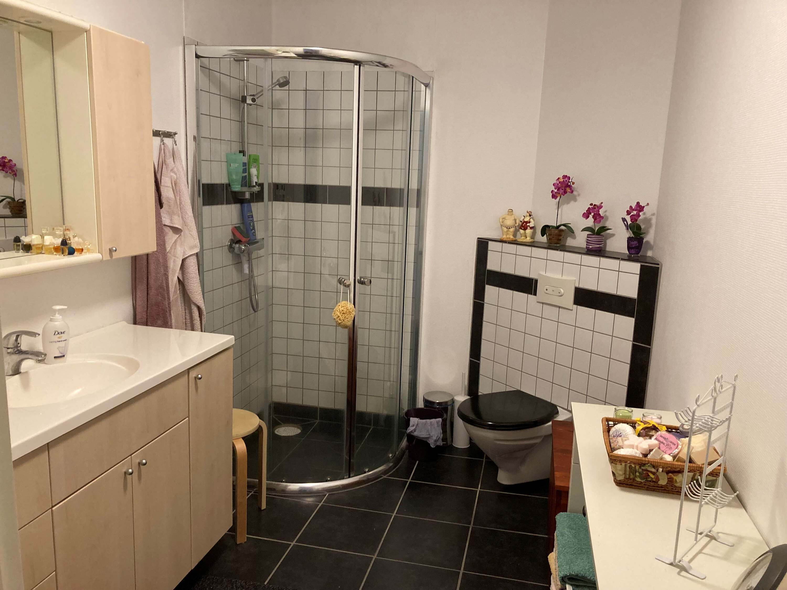 Kylpyhuone, jossa on suihku, wc, pesuallas ja peilillä varustettu allaskomero.