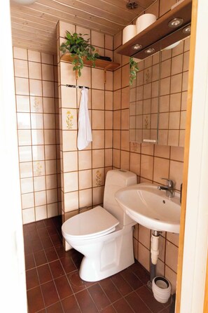 Une petite salle de bain comprenant des toilettes, un lavabo et un porte-serviettes agrémenté d’une plante suspendue.