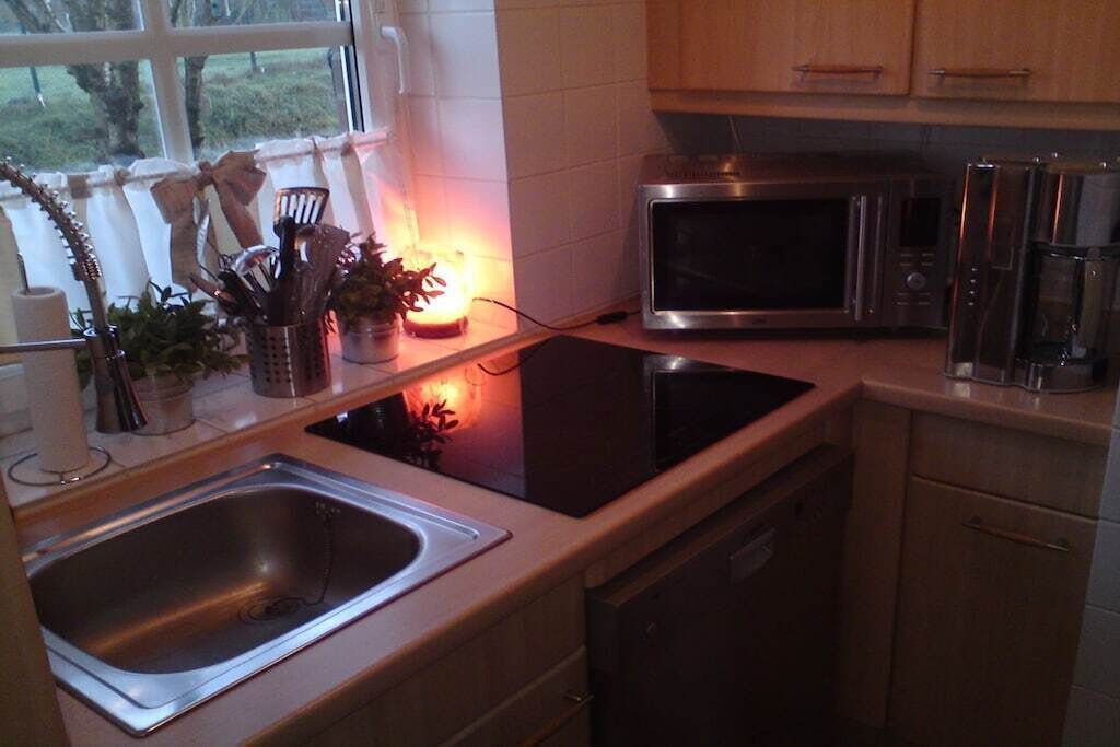 Een keuken met een roestvrijstalen spoelbak, een magnetron en een vaatwasser.