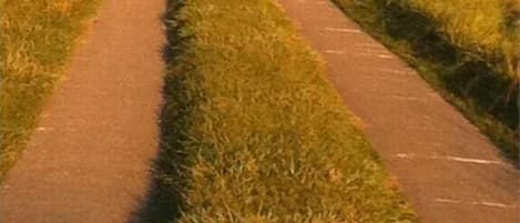 منوع