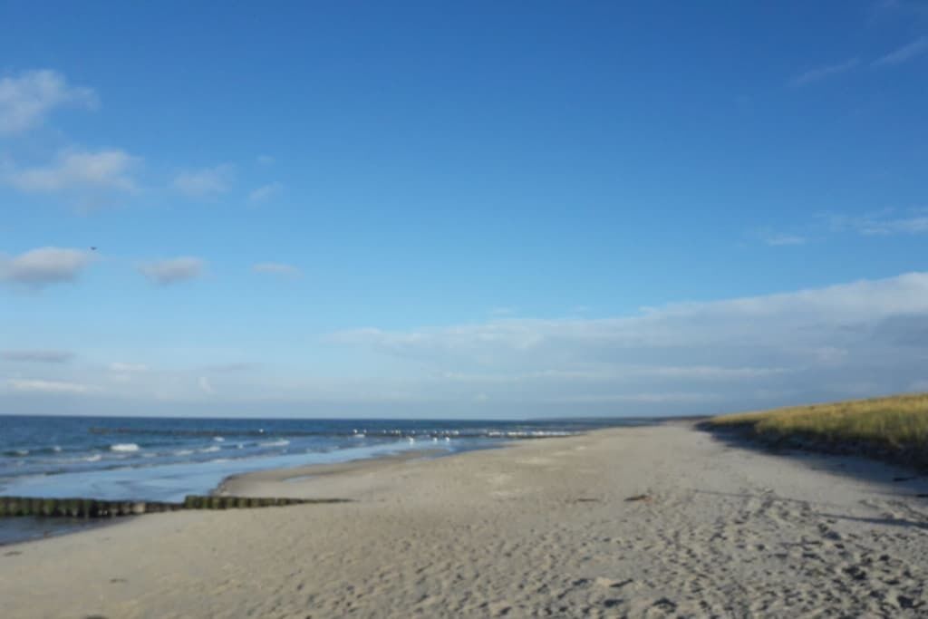 Ein Strand mit blauem Himmel und ruhigem Meer.