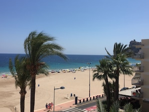 Ein Strand mit Palmen, blauem Himmel und ruhiger See.