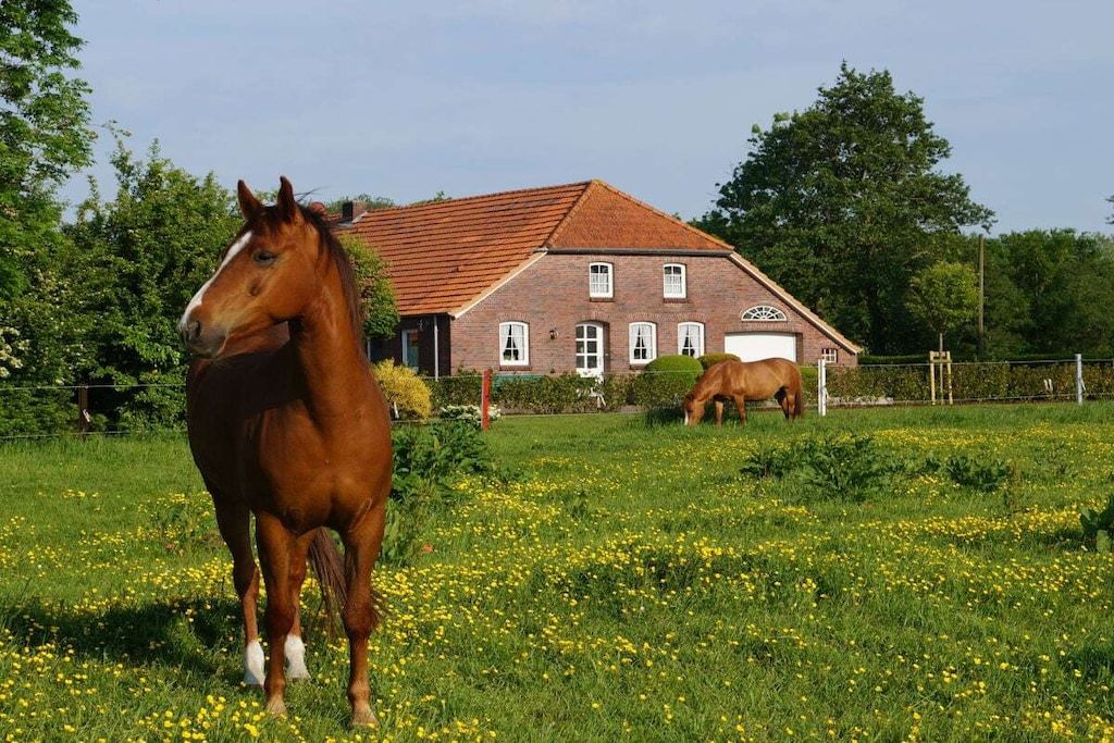 A stable with two horses and a red-roofed building.