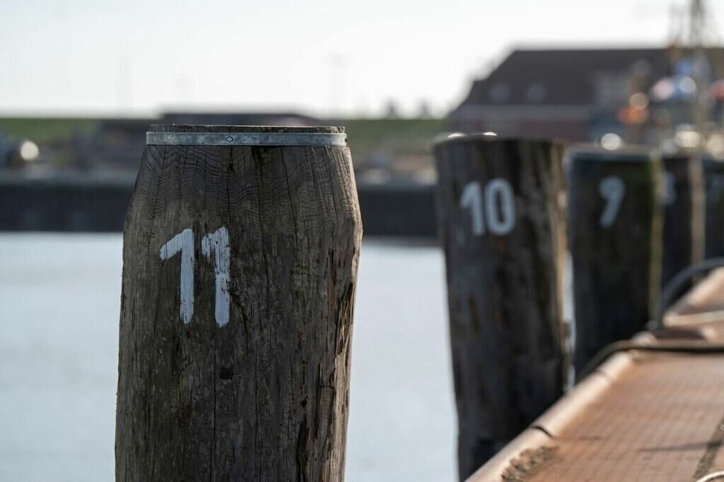 Wooden posts with numbers 11, 10, and 9, likely indicating mooring points at a marina.