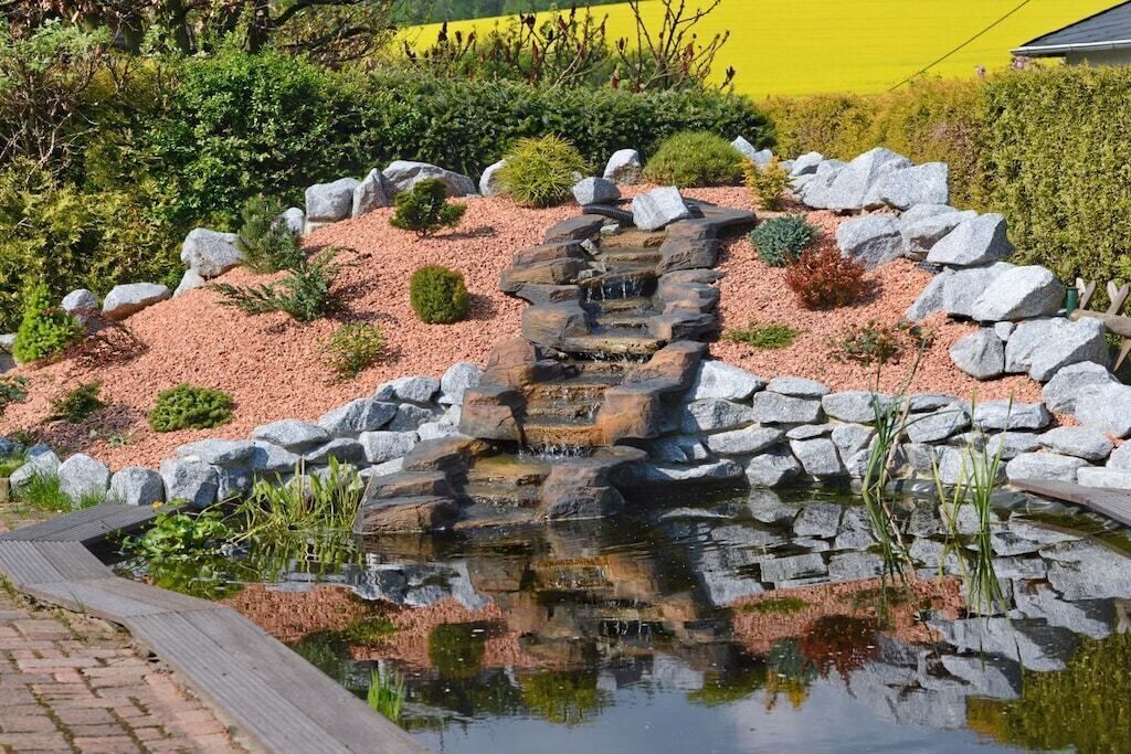 Un jardin aménagé avec un bassin, des rochers et différentes espèces de plantes.