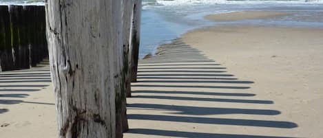 Un muelle de madera que se adentra en el océano, con una playa arenosa y olas al fondo.
