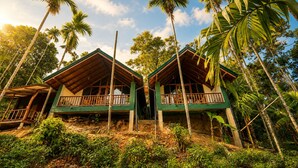 A two-story wooden house with a balcony, surrounded by tropical vegetation.