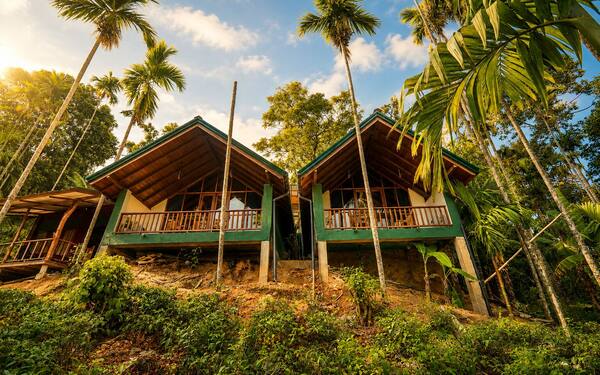 Nine Arch Jungle Inn