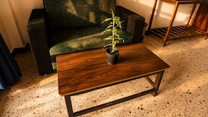 A room with a dark green sofa, a wooden coffee table with a potted plant, and a terrazzo floor.