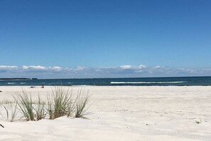 A beach with sand, grass, and the ocean. - Holiday apartment with 1 bedroom (Prerow)