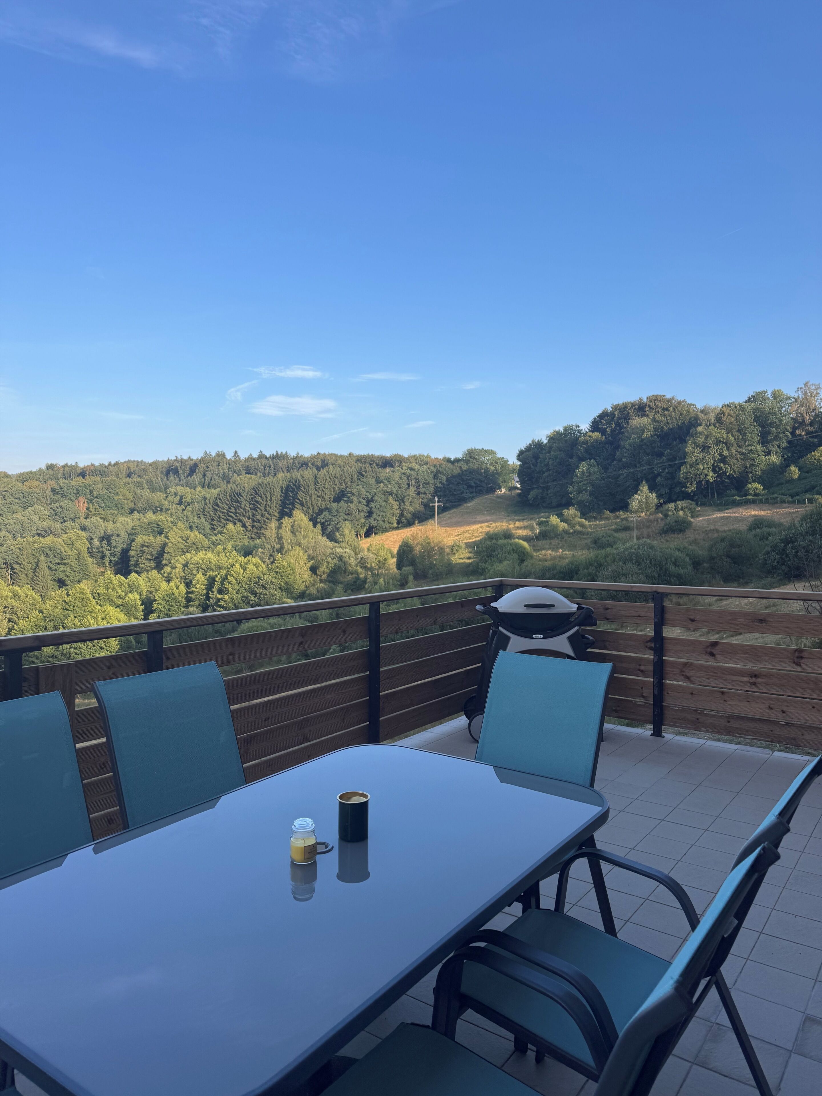 A terrace with a table and chairs, overlooking a forested landscape.