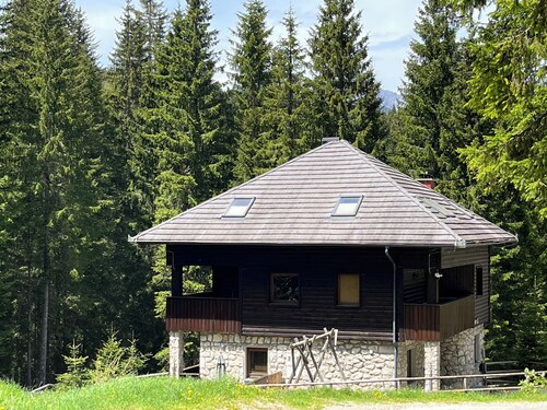 Triglav NP Apartment - above Bled