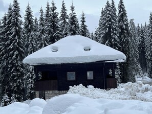 A cabin surrounded by snow-covered trees. - Triglav NP Apartment - above Bled (Zgornje Gorje)