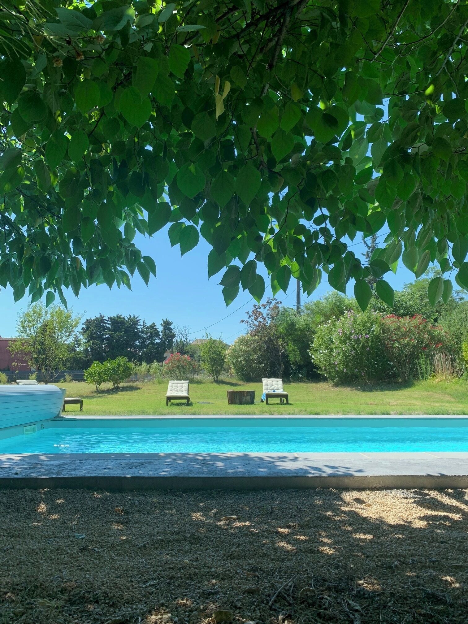 A swimming pool with lounge chairs and a grassy area.