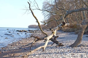 A natural landscape with a fallen tree, rocky shore, and a body of water. - 051 Pure Holiday South Beach (Burg-Tiefe)