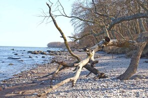 Eine natürliche Landschaft mit einem umgestürzten Baum, felsigem Ufer und einem Gewässer.