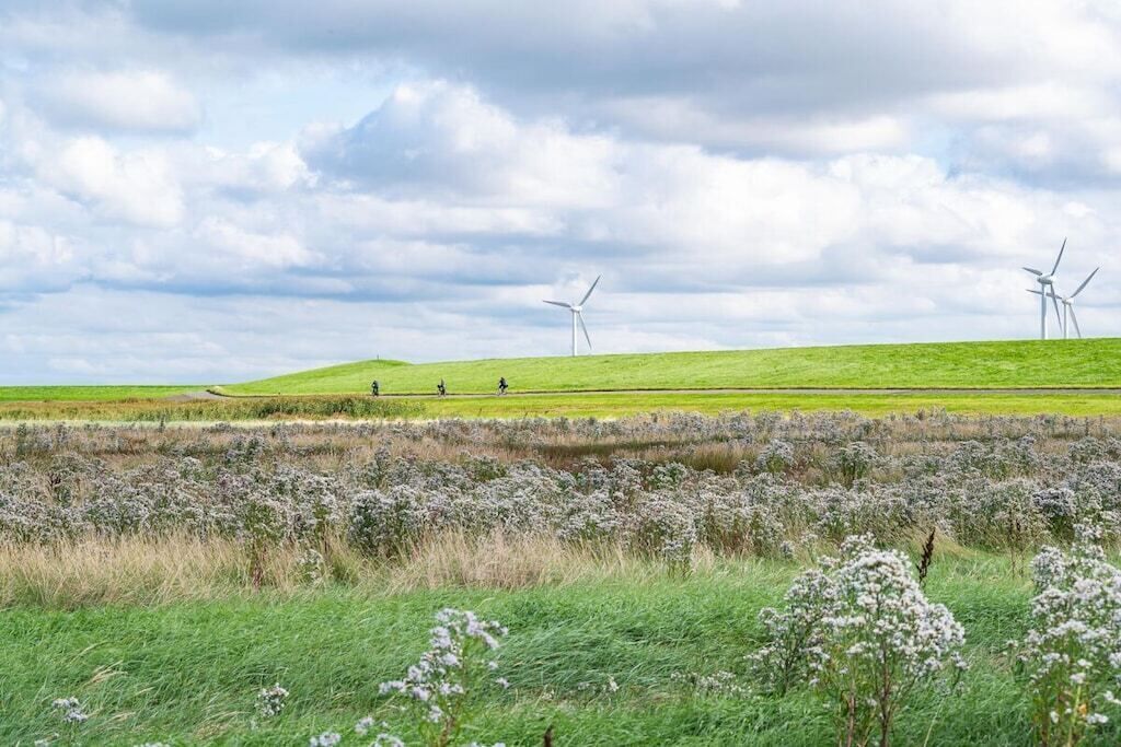 Un paisaje con aerogeneradores y un campo de flores.