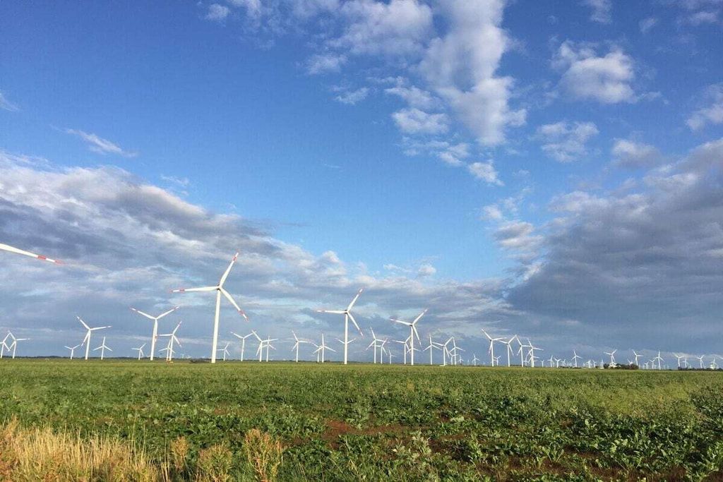Ein Feld mit mehreren Windkraftanlagen unter einem bewölkten Himmel.