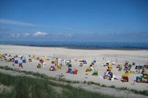 A beach with numerous colorful beach chairs and umbrellas spread across the sand. - Holiday apartment with 1 bedroom (Krummhörn-Greetsiel)