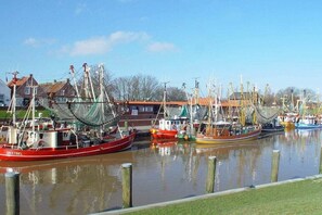 Ein Yachthafen mit mehreren angestaubten Booten, Holzpfählen und Gebäuden im Hintergrund.