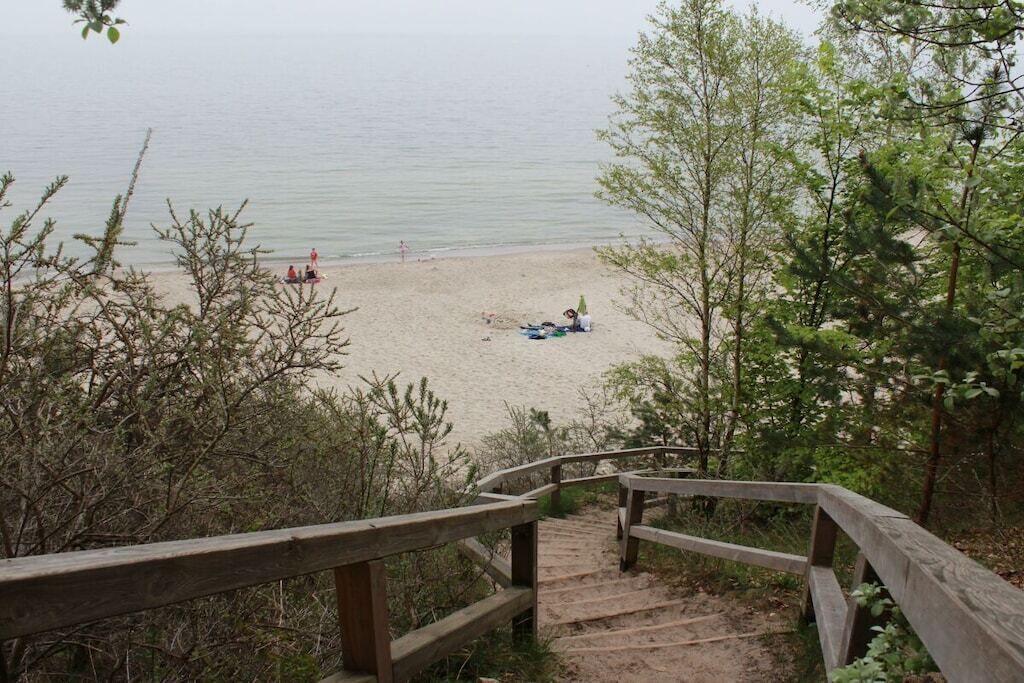 Eine Holztreppe führt zu einem Strand mit sandigem Ufer und spärlicher Vegetation.