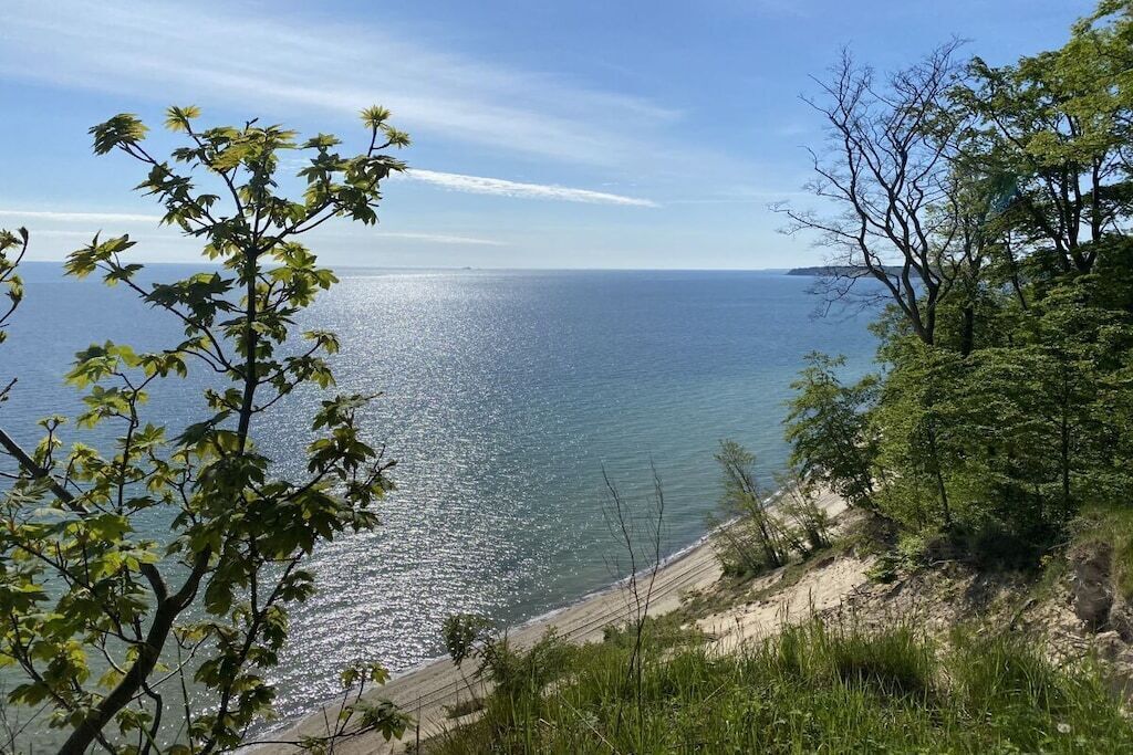 Eine Küstenlandschaft mit freiem Blick auf das Meer, einem Sandstrand und einer baumbestandenen Vordergrundebene.