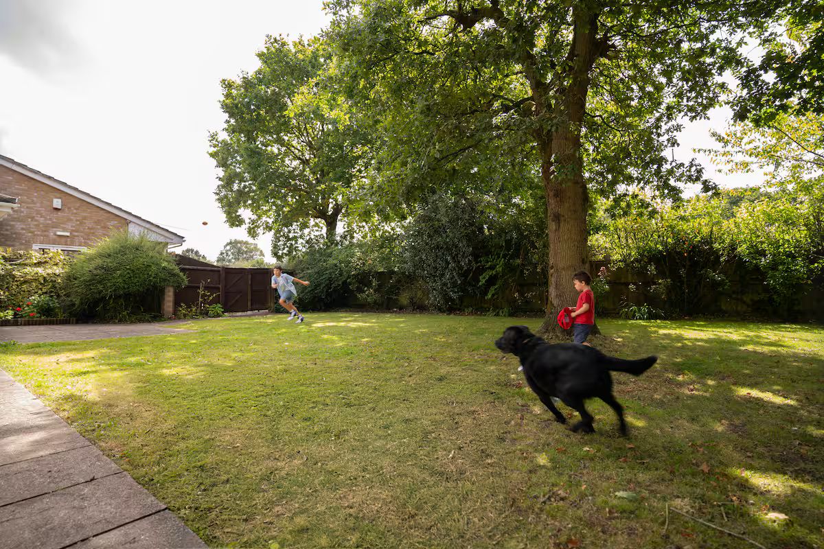 Ein grüner Hinterhof mit Baum, Backsteinhaus und schwarzem Hund.