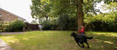A grassy backyard with a tree, a brick building, and a black dog.