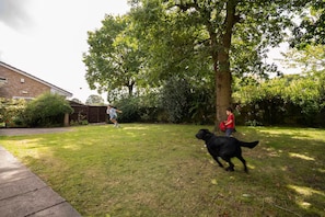 Un patio trasero con césped, un árbol, un edificio de ladrillo y un perro negro.